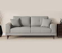 Daroo 2 Seater Sofa In Light Grey Colour